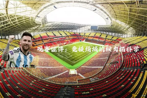 观赛证件：竞技场域的权力拓扑学